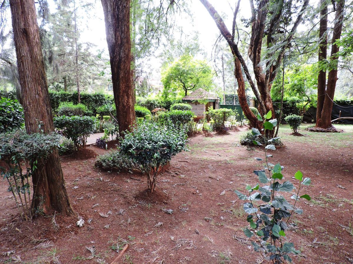 بيت شباب Milimani Backpackers نيروبي المظهر الخارجي الصورة