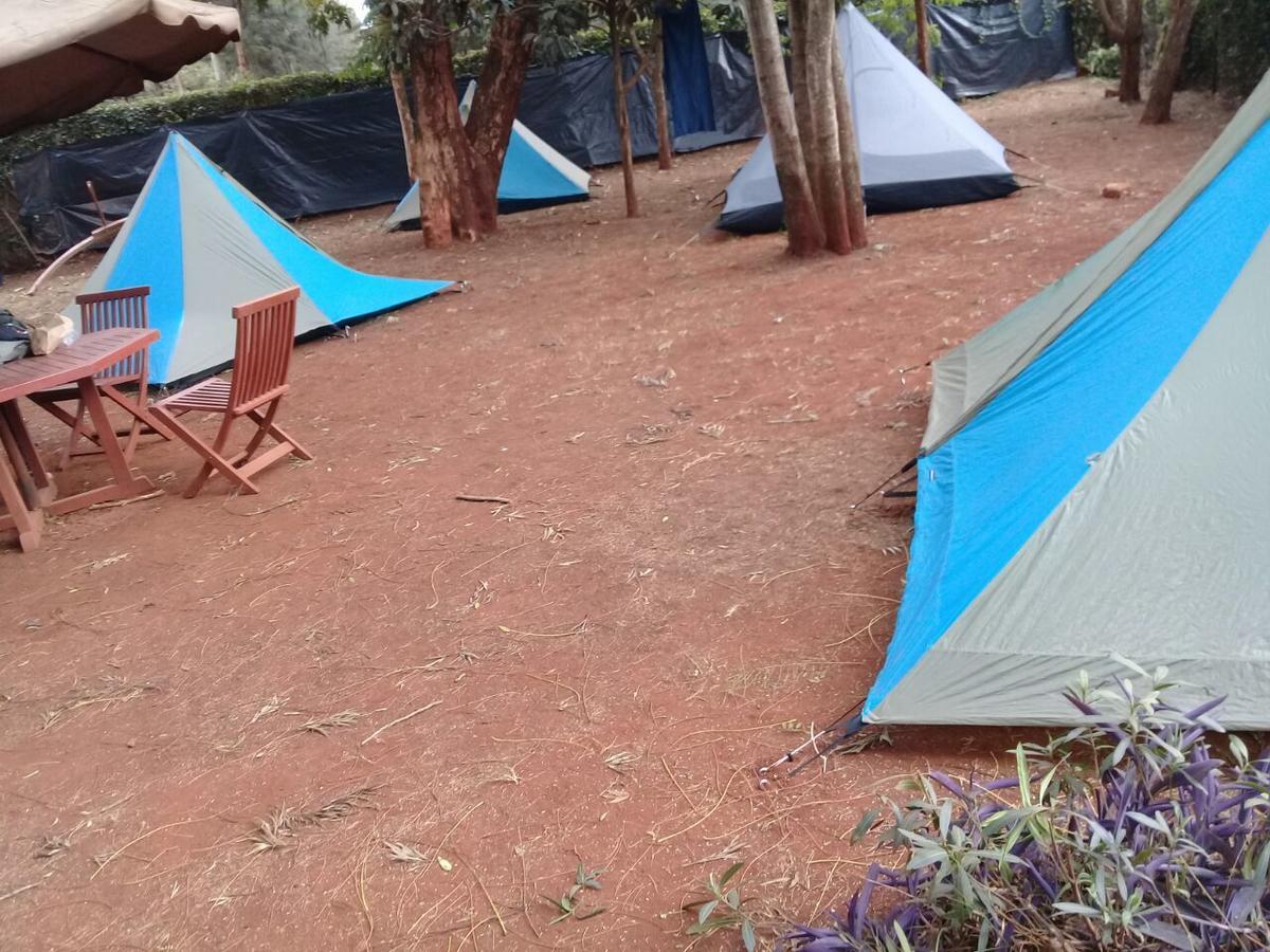 بيت شباب Milimani Backpackers نيروبي المظهر الخارجي الصورة